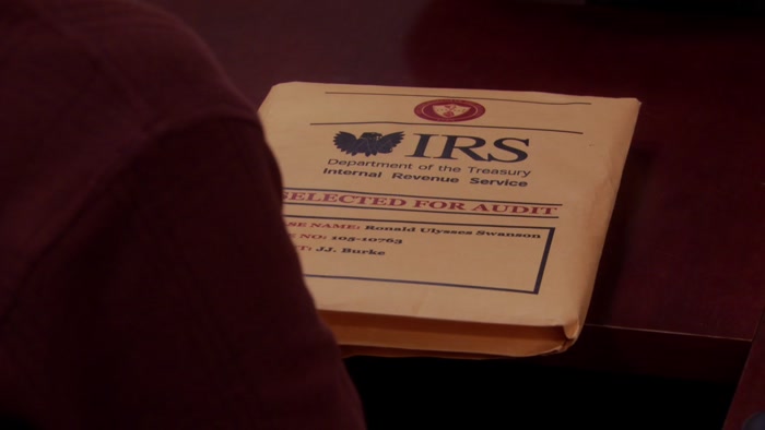 YOU'RE BEING AUDITED, RONALD.  