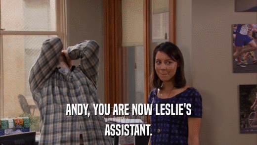 ANDY, YOU ARE NOW LESLIE'S ASSISTANT. 