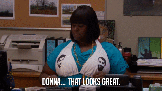 DONNA... THAT LOOKS GREAT.  