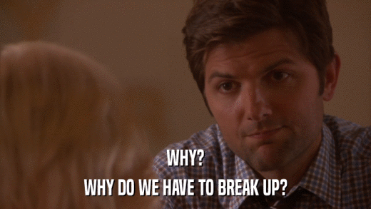 WHY? WHY DO WE HAVE TO BREAK UP? 