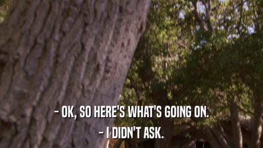 - OK, SO HERE'S WHAT'S GOING ON. - I DIDN'T ASK. 
