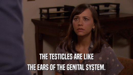 THE TESTICLES ARE LIKE THE EARS OF THE GENITAL SYSTEM. 