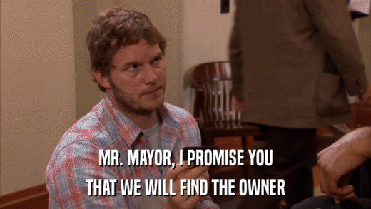 MR. MAYOR, I PROMISE YOU THAT WE WILL FIND THE OWNER 