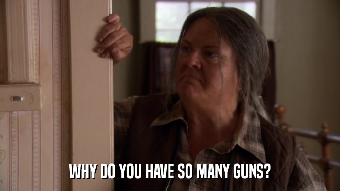 WHY DO YOU HAVE SO MANY GUNS?  