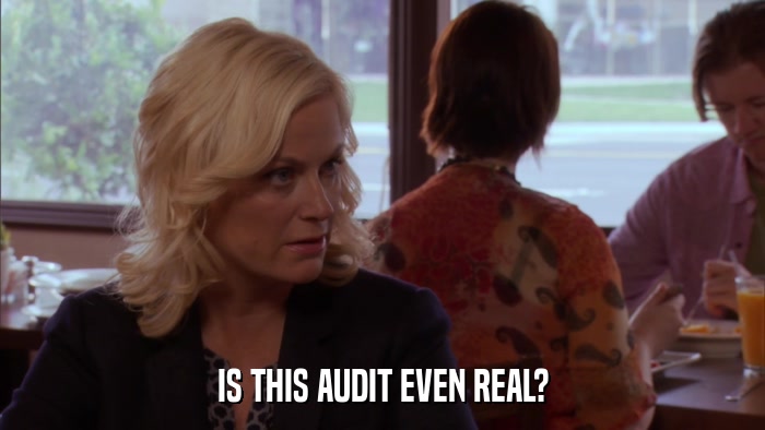 IS THIS AUDIT EVEN REAL?  