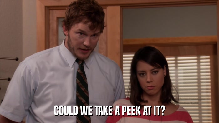 COULD WE TAKE A PEEK AT IT?  