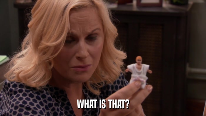 WHAT IS THAT?  
