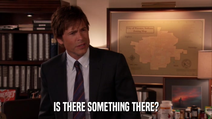 IS THERE SOMETHING THERE?  