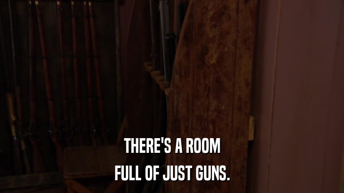 THERE'S A ROOM FULL OF JUST GUNS. 
