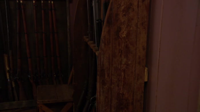 THERE'S A ROOM FULL OF JUST GUNS. 