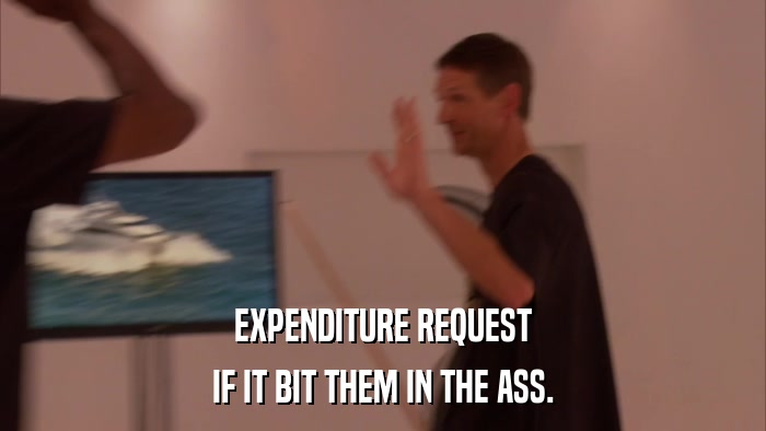 EXPENDITURE REQUEST IF IT BIT THEM IN THE ASS. 