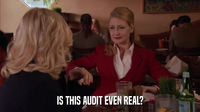 IS THIS AUDIT EVEN REAL?  