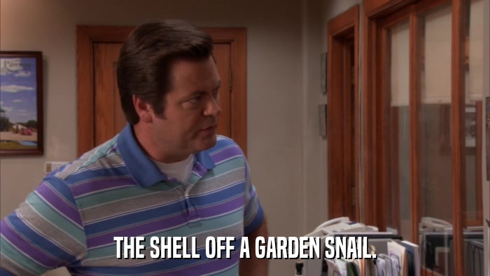 THE SHELL OFF A GARDEN SNAIL.  