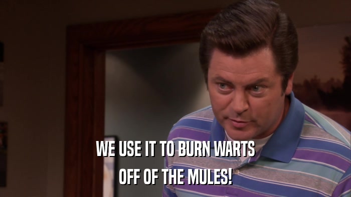 WE USE IT TO BURN WARTS OFF OF THE MULES! 