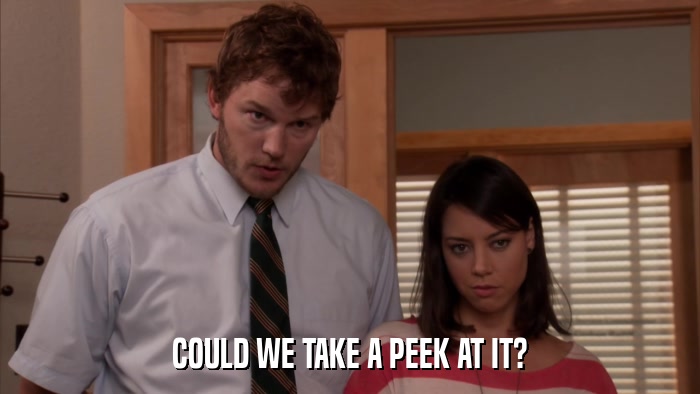 COULD WE TAKE A PEEK AT IT?  