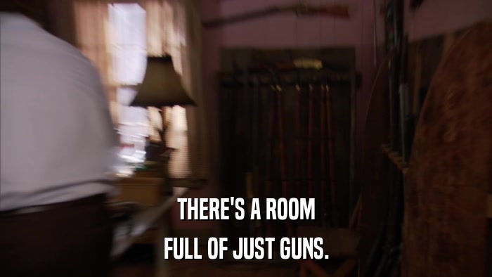 THERE'S A ROOM FULL OF JUST GUNS. 
