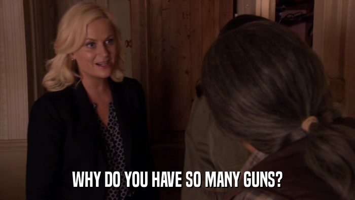 WHY DO YOU HAVE SO MANY GUNS?  