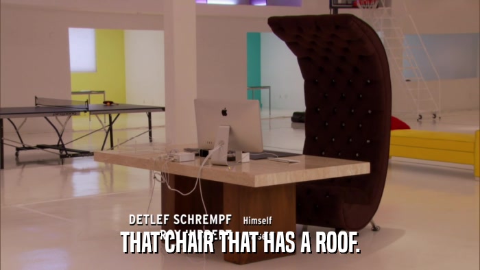 THAT CHAIR THAT HAS A ROOF.  