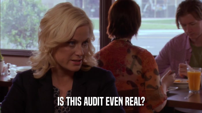 IS THIS AUDIT EVEN REAL?  