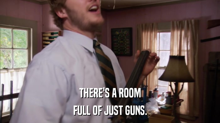 THERE'S A ROOM FULL OF JUST GUNS. 