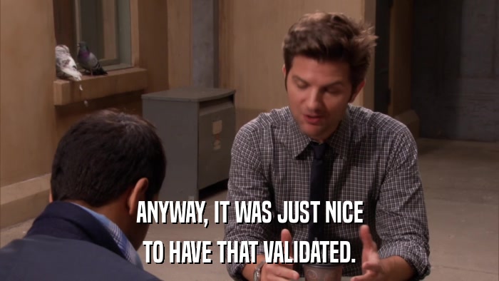 ANYWAY, IT WAS JUST NICE TO HAVE THAT VALIDATED. 