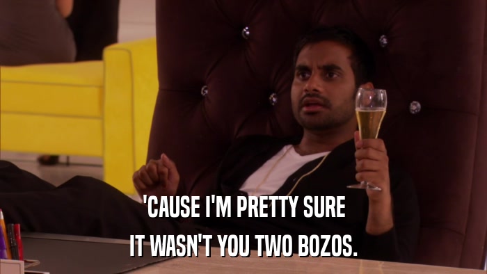 'CAUSE I'M PRETTY SURE IT WASN'T YOU TWO BOZOS. 
