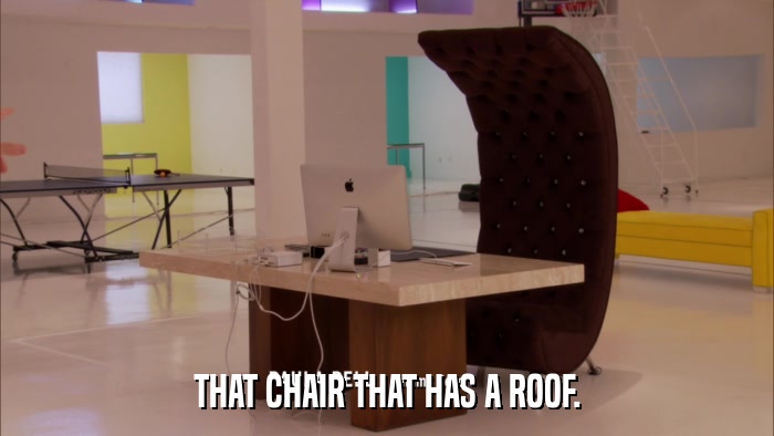 THAT CHAIR THAT HAS A ROOF.  