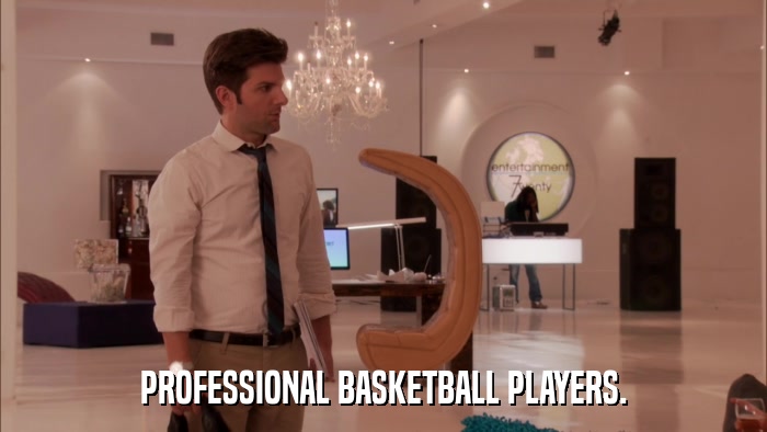 PROFESSIONAL BASKETBALL PLAYERS.  