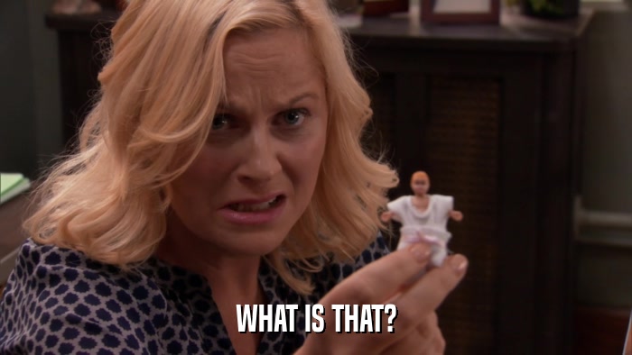 WHAT IS THAT?  