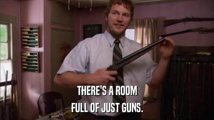 THERE'S A ROOM FULL OF JUST GUNS. 