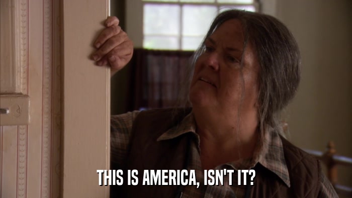THIS IS AMERICA, ISN'T IT?  
