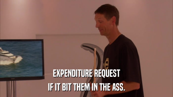 EXPENDITURE REQUEST IF IT BIT THEM IN THE ASS. 