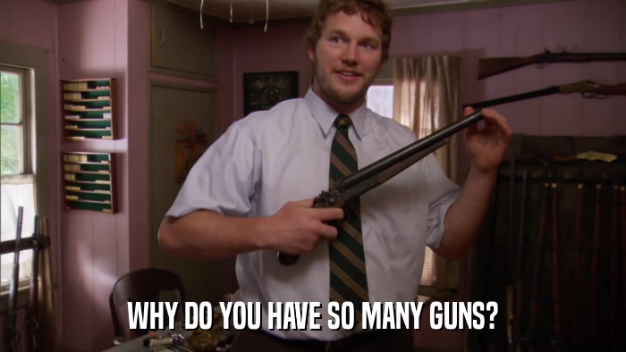 WHY DO YOU HAVE SO MANY GUNS?  