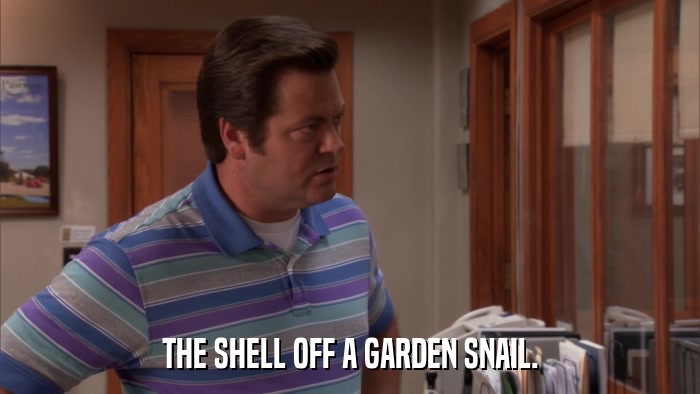 THE SHELL OFF A GARDEN SNAIL.  