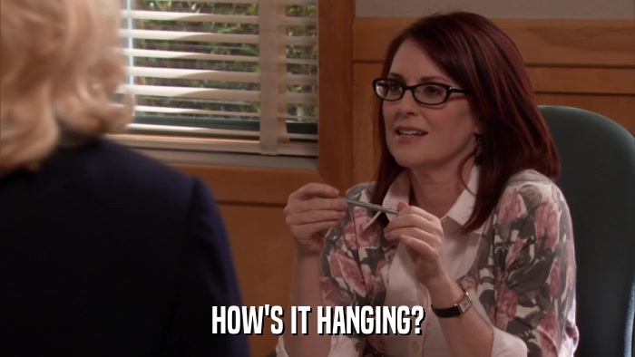 HOW'S IT HANGING?  