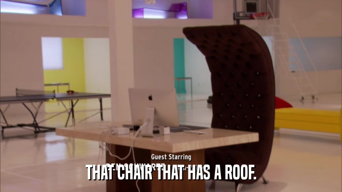 THAT CHAIR THAT HAS A ROOF.  