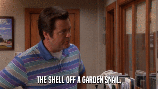 THE SHELL OFF A GARDEN SNAIL.  