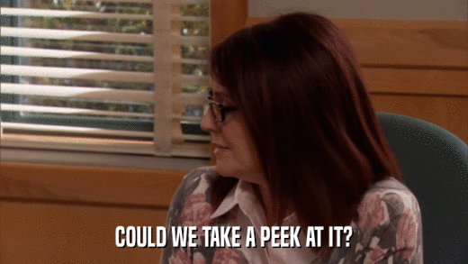 COULD WE TAKE A PEEK AT IT?  