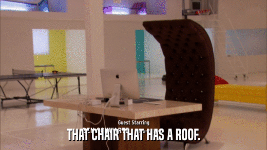 THAT CHAIR THAT HAS A ROOF.  