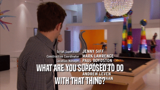 WHAT ARE YOU SUPPOSED TO DO WITH THAT THING? WITH THAT THING?