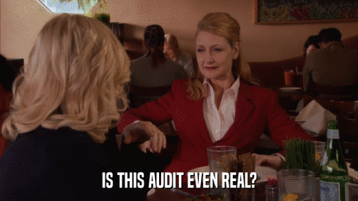 IS THIS AUDIT EVEN REAL?  