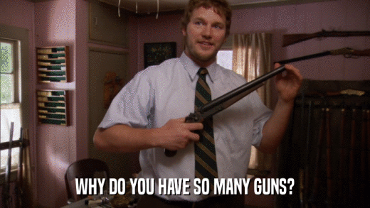 WHY DO YOU HAVE SO MANY GUNS?  