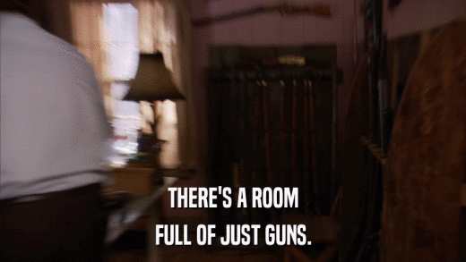 THERE'S A ROOM FULL OF JUST GUNS. 