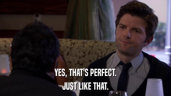 YES, THAT'S PERFECT. JUST LIKE THAT. 