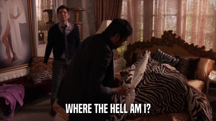 WHERE THE HELL AM I?  