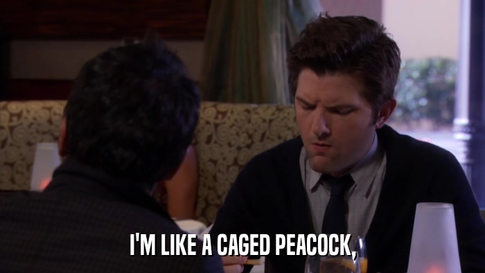 I'M LIKE A CAGED PEACOCK,  