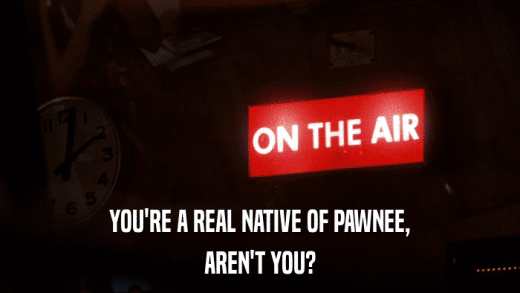 YOU'RE A REAL NATIVE OF PAWNEE, AREN'T YOU? 