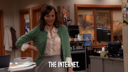 THE INTERNET.  