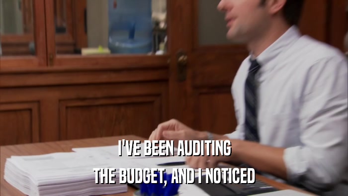 I'VE BEEN AUDITING THE BUDGET, AND I NOTICED 