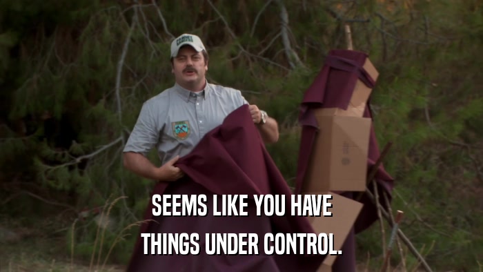 SEEMS LIKE YOU HAVE THINGS UNDER CONTROL. 